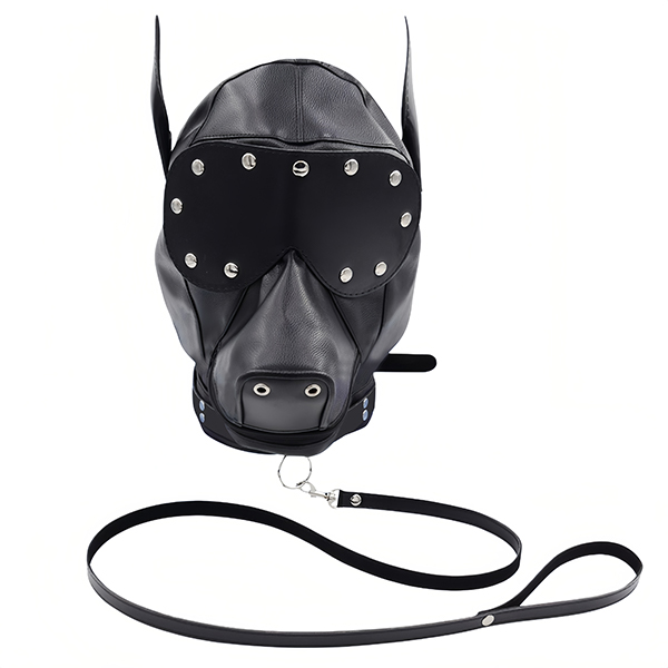 Dog Heargear