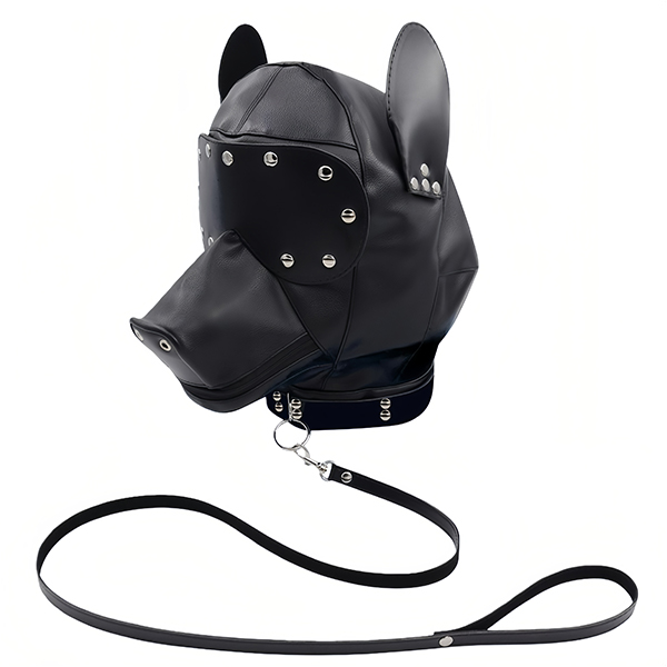 Dog Heargear